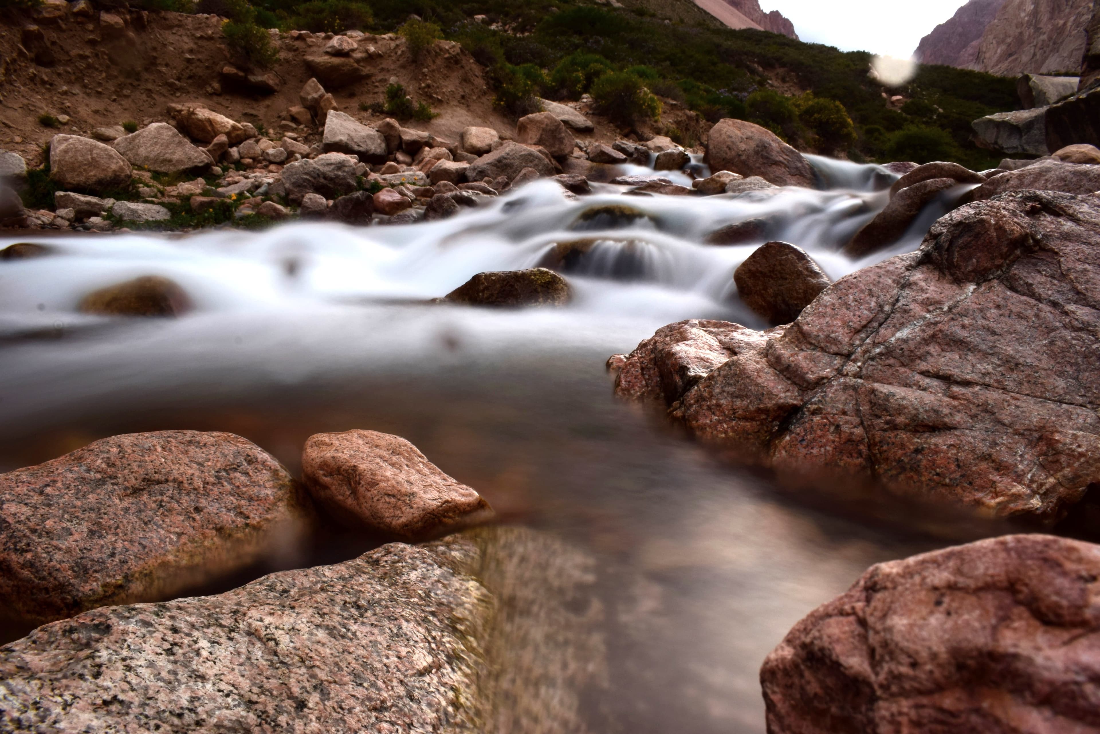 Portada en preparación de SOMA, imagen 5